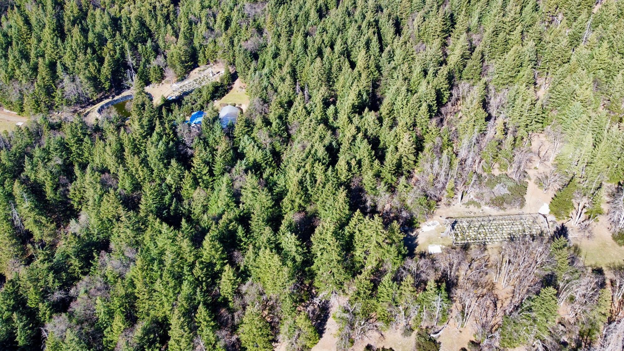 5735 Forest Rte 1N08 Bridgeville, CA 95526 - Photo 12 of 55