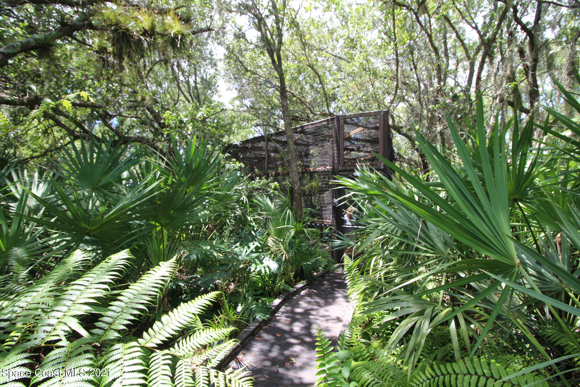 4034 Preservation Circle Melbourne, FL 32934 - Photo 23 of 25 a view of a garden