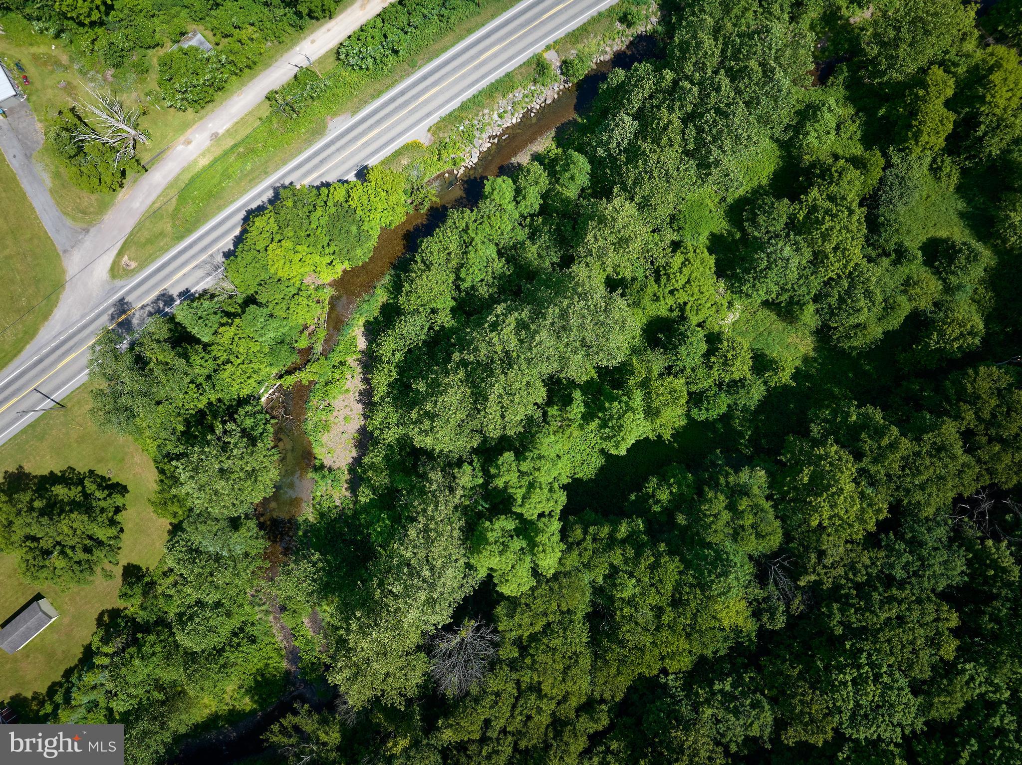 0 Peepaw Road Roaring Branch, PA 17765 - Photo 20 of 26