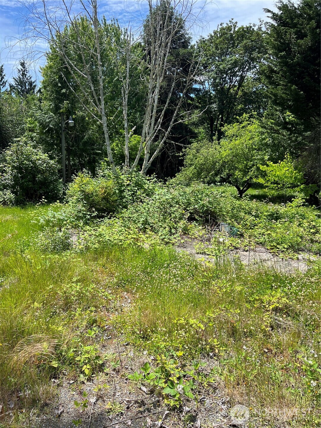 957 Aberdeen Avenue Northeast Renton, WA 98056 - Photo 10 of 11 a view of a garden