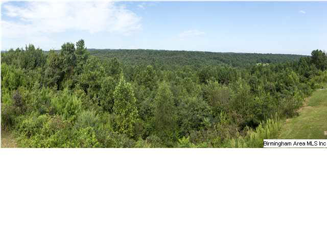 205 Dust Ridge Road Moody, AL 35004 - Photo 10 of 32