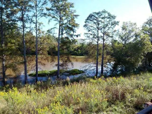 100 Levee Road Natchitoches, LA 71457 - Photo 11 of 12 Gallery Image 11