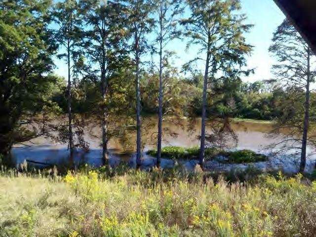 100 Levee Road Natchitoches, LA 71457 - Photo 9 of 12 Gallery Image 9