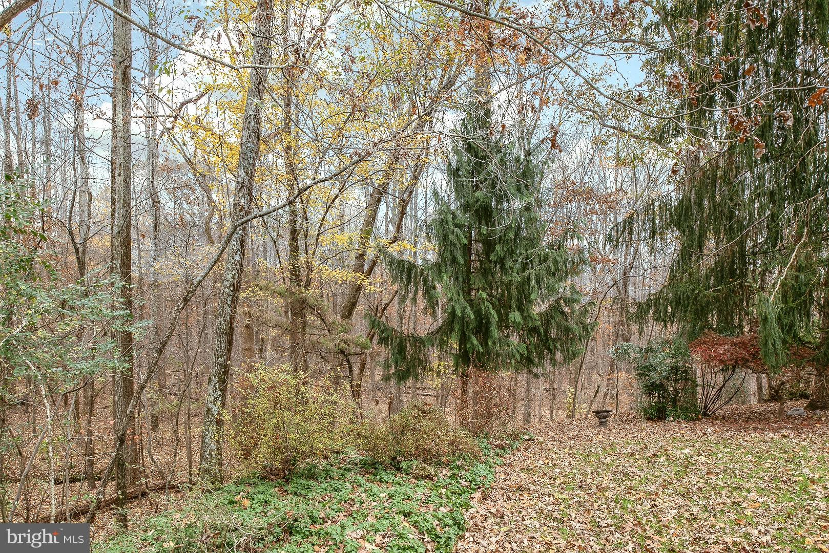 22127 Watson Road Leesburg, VA 20175 - Photo 50 of 67 Gallery Image 50