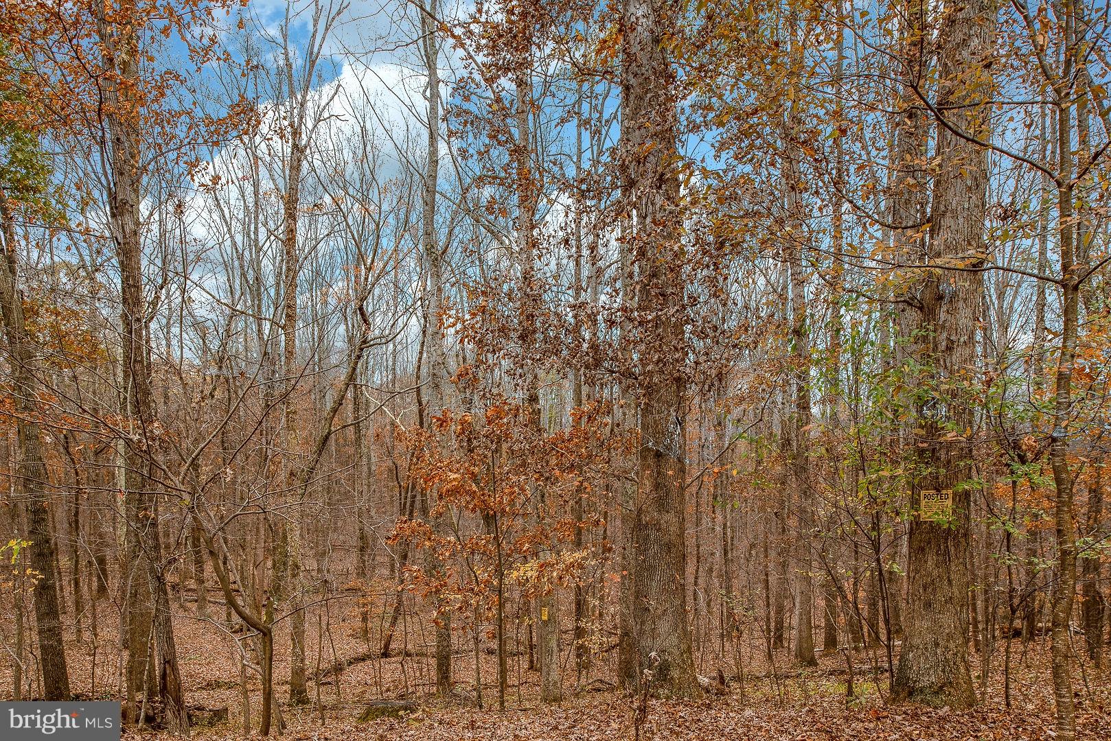 22127 Watson Road Leesburg, VA 20175 - Photo 51 of 67 Gallery Image 51
