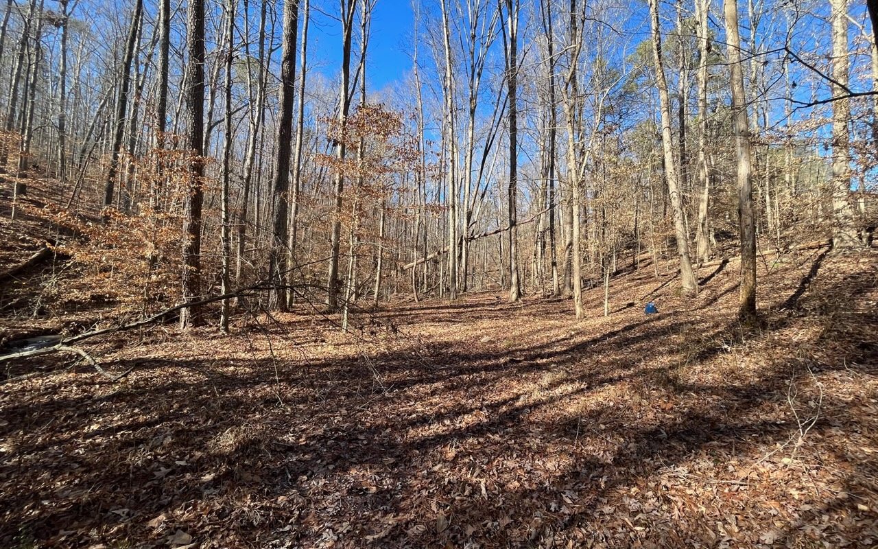 68.5 Hickory Grove Road Ringgold, GA 30736 - Photo 10 of 14 Additional View