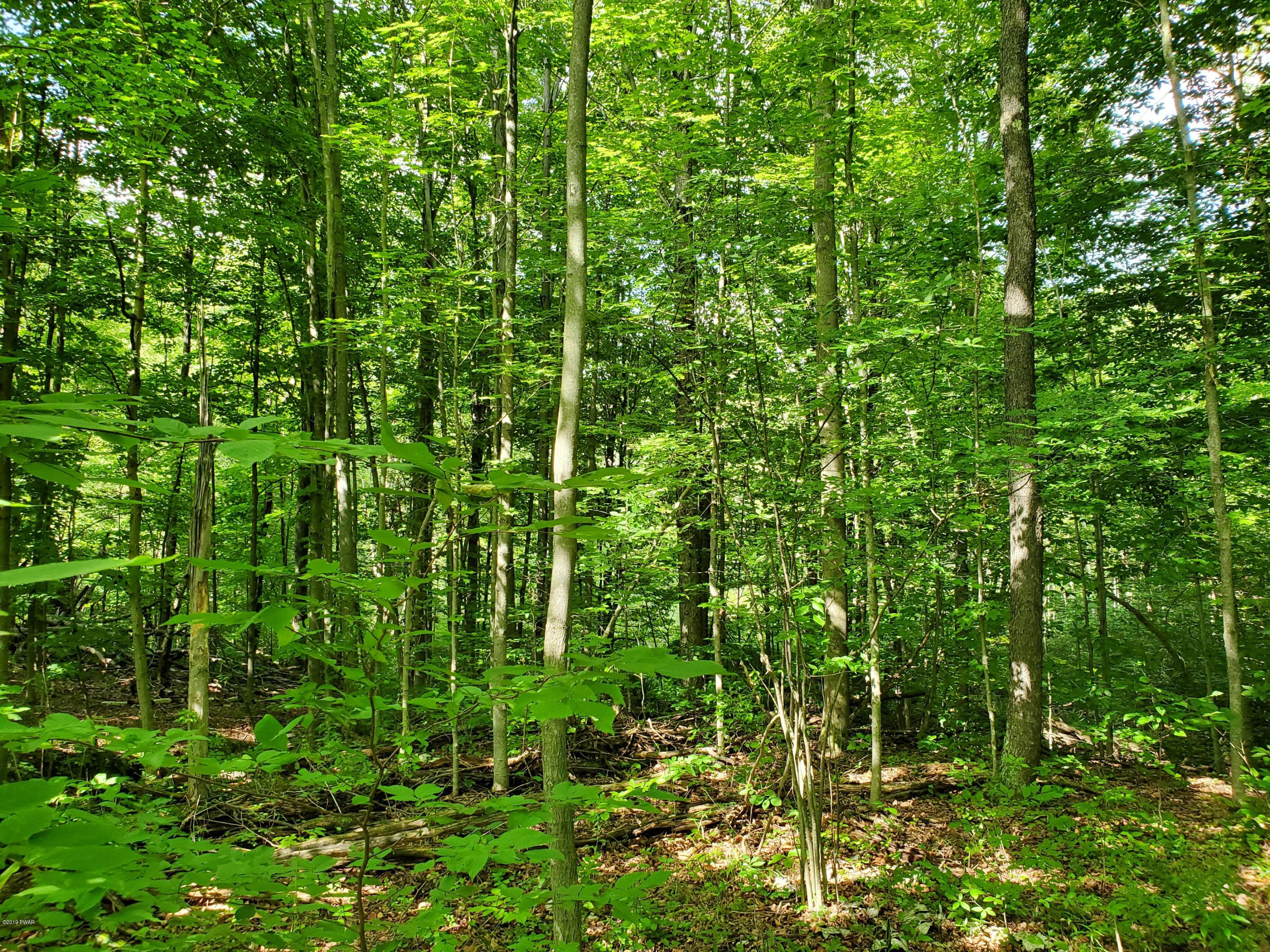Lot 5 Hanlon Rd Lake Lake Ariel, PA 18436 - Photo 3 of 9