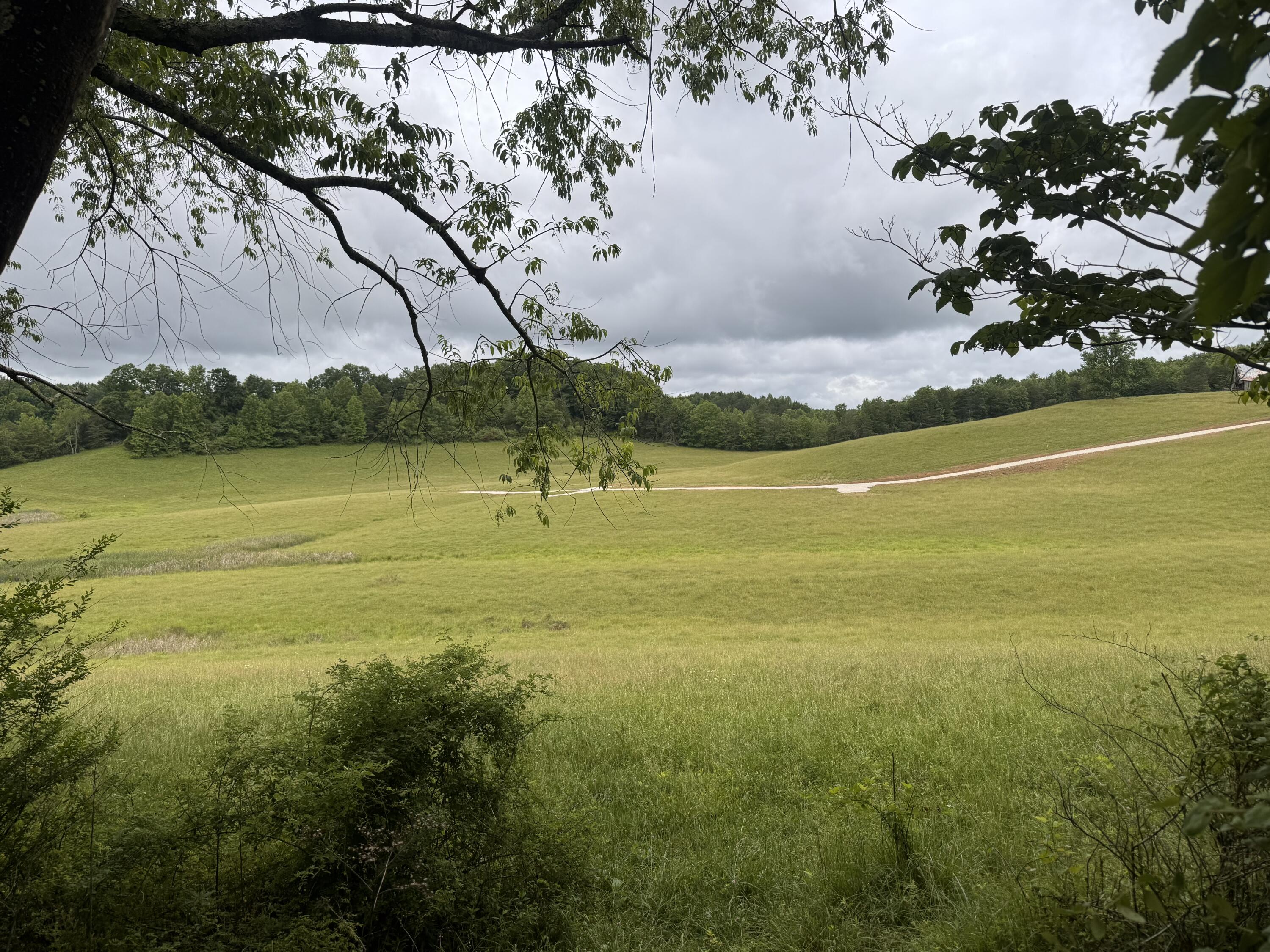 4135 Big Andy Ridge Road, Unit TRACT 6 Rogers, KY 41365 - Photo 7 of 11 Tract 6