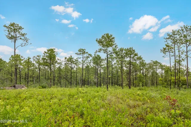 $1,150,000 | 17 Hwy Off Hampstead Nc 28443, Hampstead, NC 28443