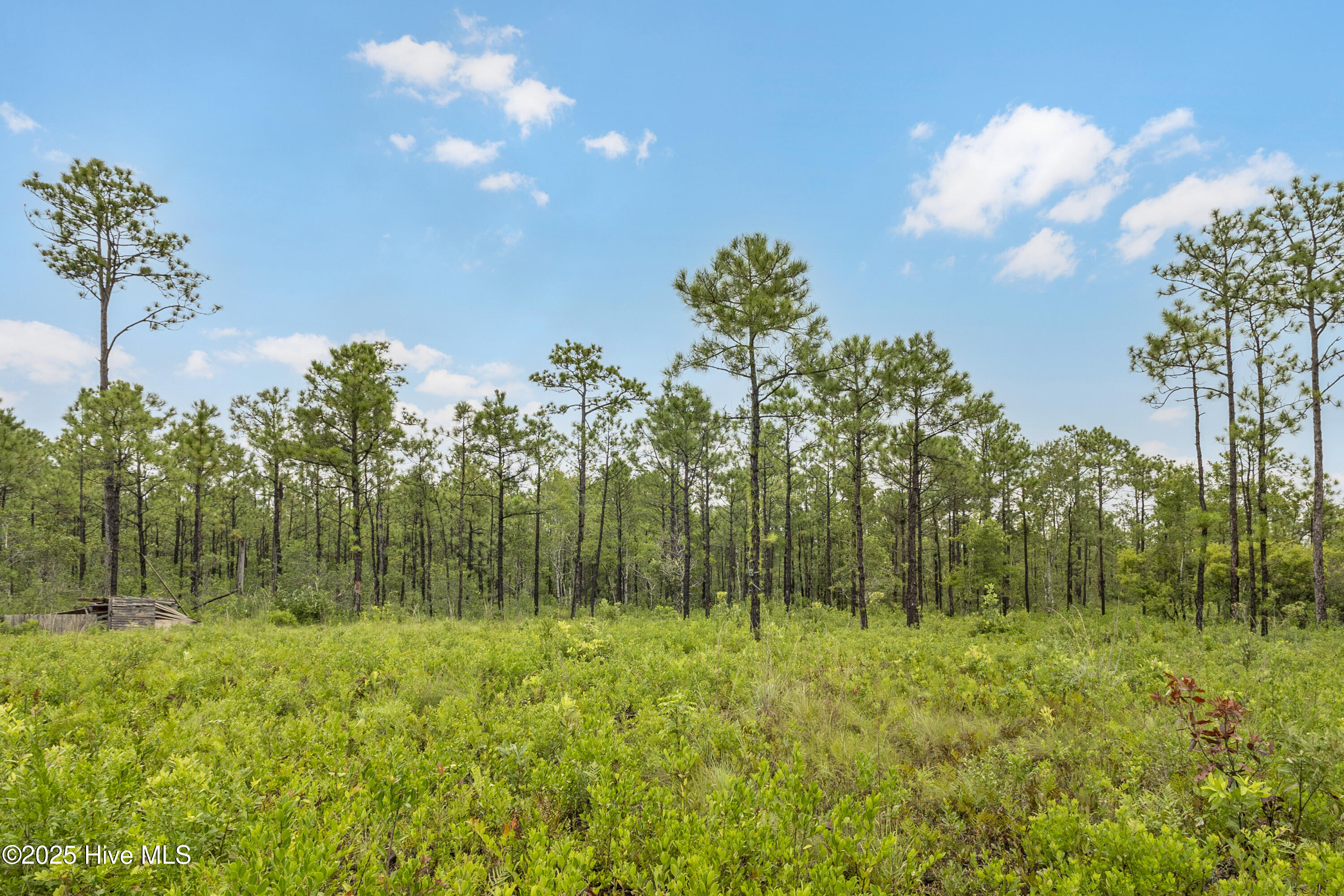 17 Hwy Off Hampstead Nc 28443 Hampstead, NC 28443 - Photo 1 of 25 IMG_2516