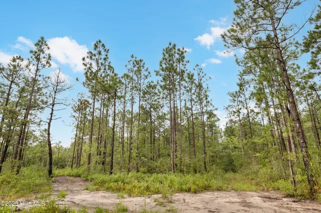 $1,150,000 | 17 Hwy Off Hampstead Nc 28443, Hampstead, NC 28443