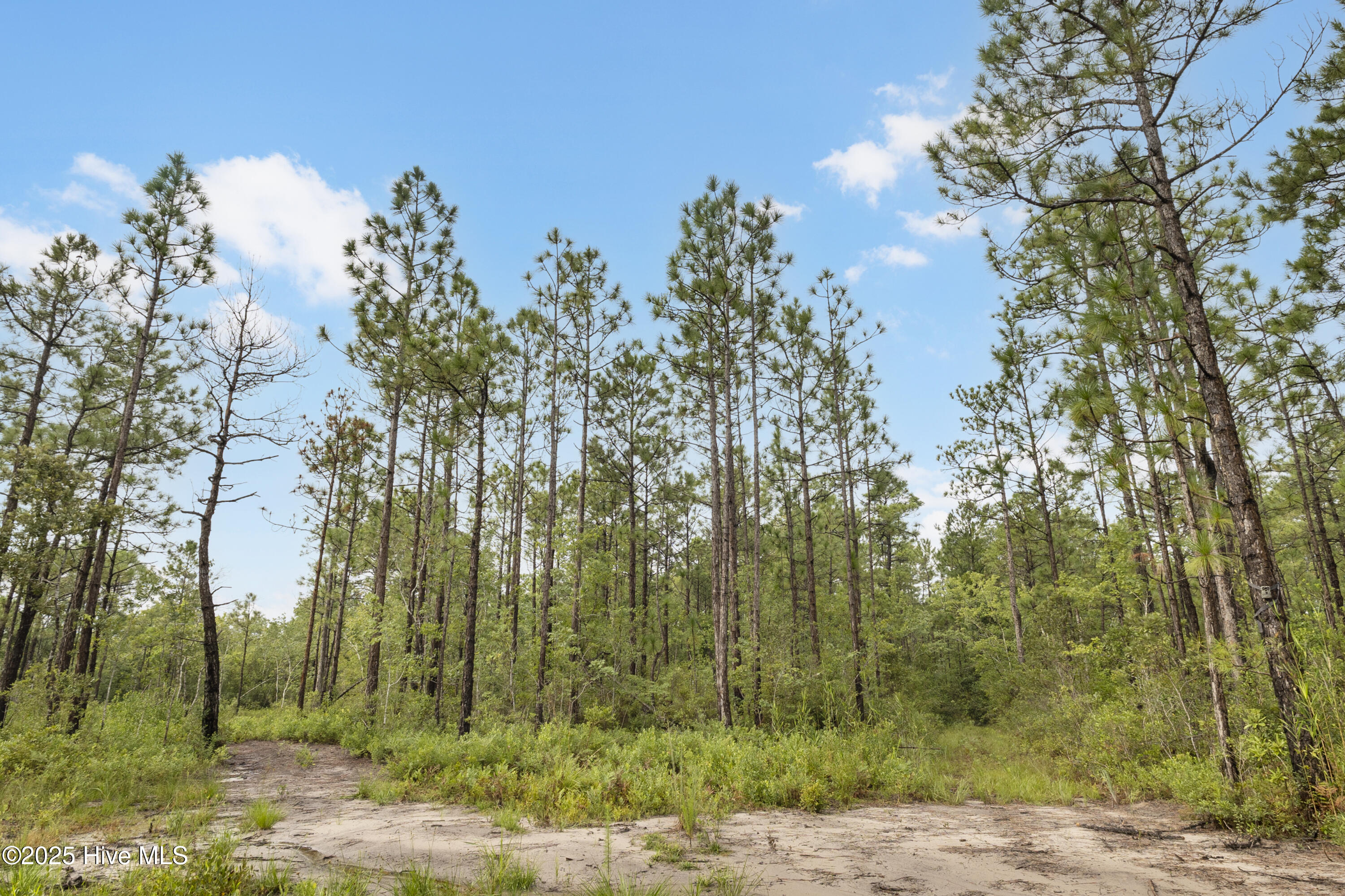 17 Hwy Off Hampstead Nc 28443 Hampstead, NC 28443 - Photo 11 of 25 IMG_2522