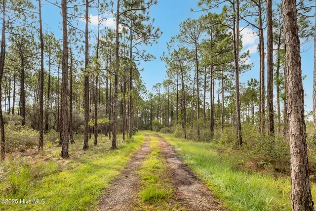 $1,150,000 | 17 Hwy Off Hampstead Nc 28443, Hampstead, NC 28443