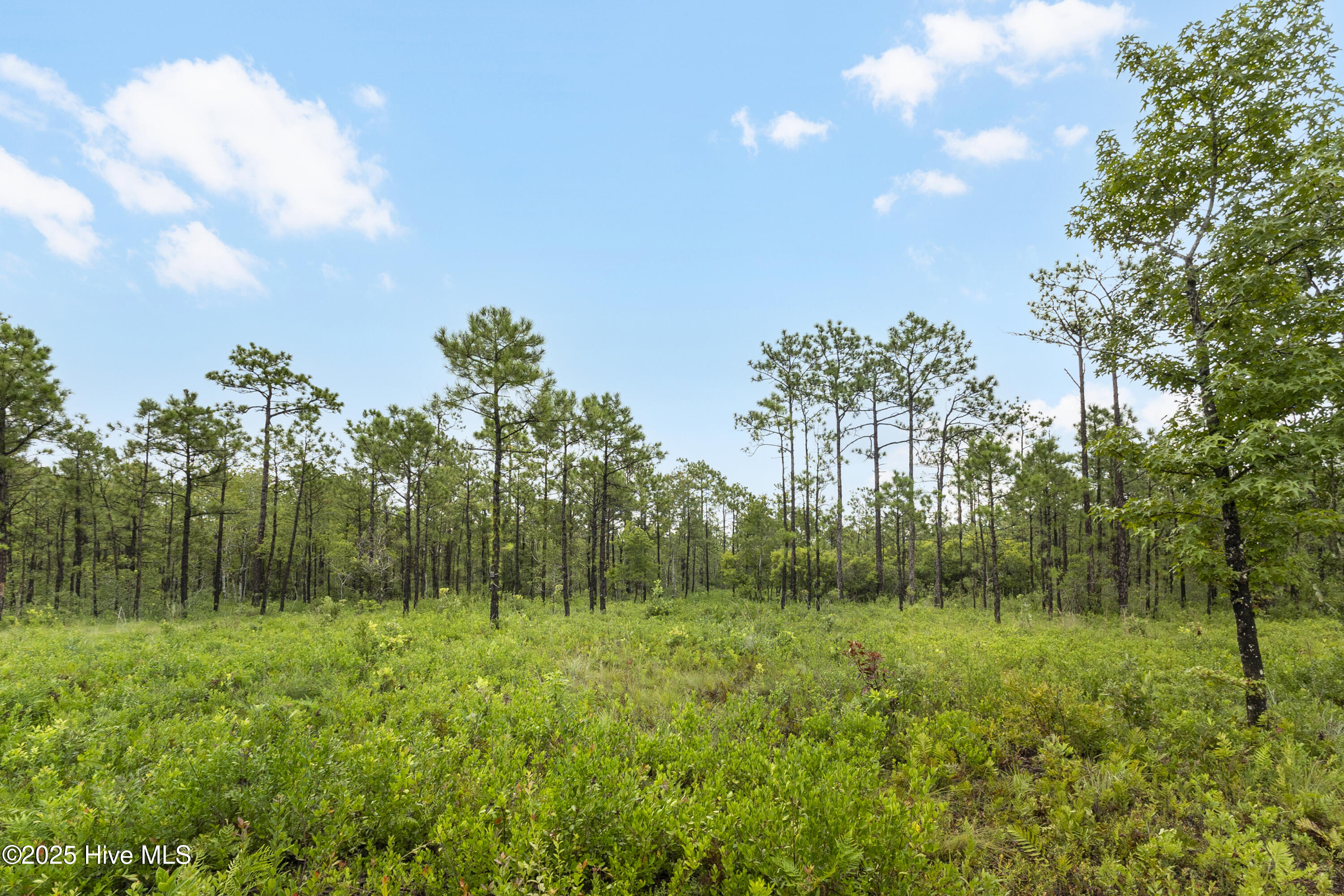 17 Hwy Off Hampstead Nc 28443 Hampstead, NC 28443 - Photo 4 of 25 IMG_2507