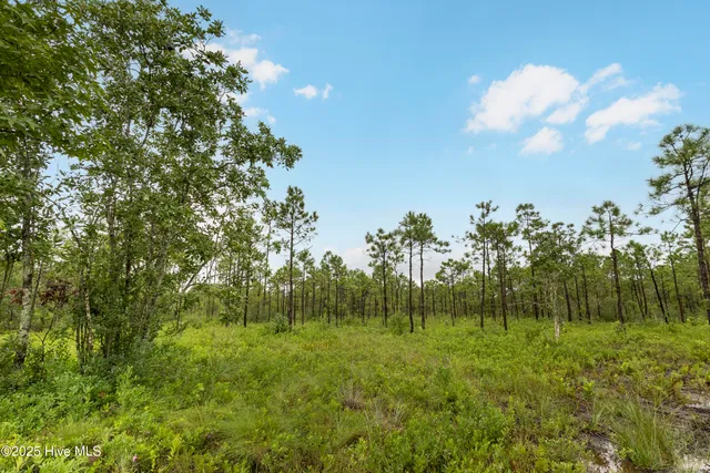 $1,150,000 | 17 Hwy Off Hampstead Nc 28443, Hampstead, NC 28443