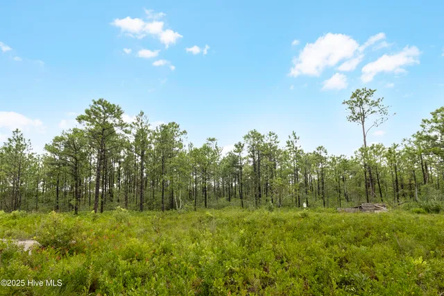 $1,150,000 | 17 Hwy Off Hampstead Nc 28443, Hampstead, NC 28443