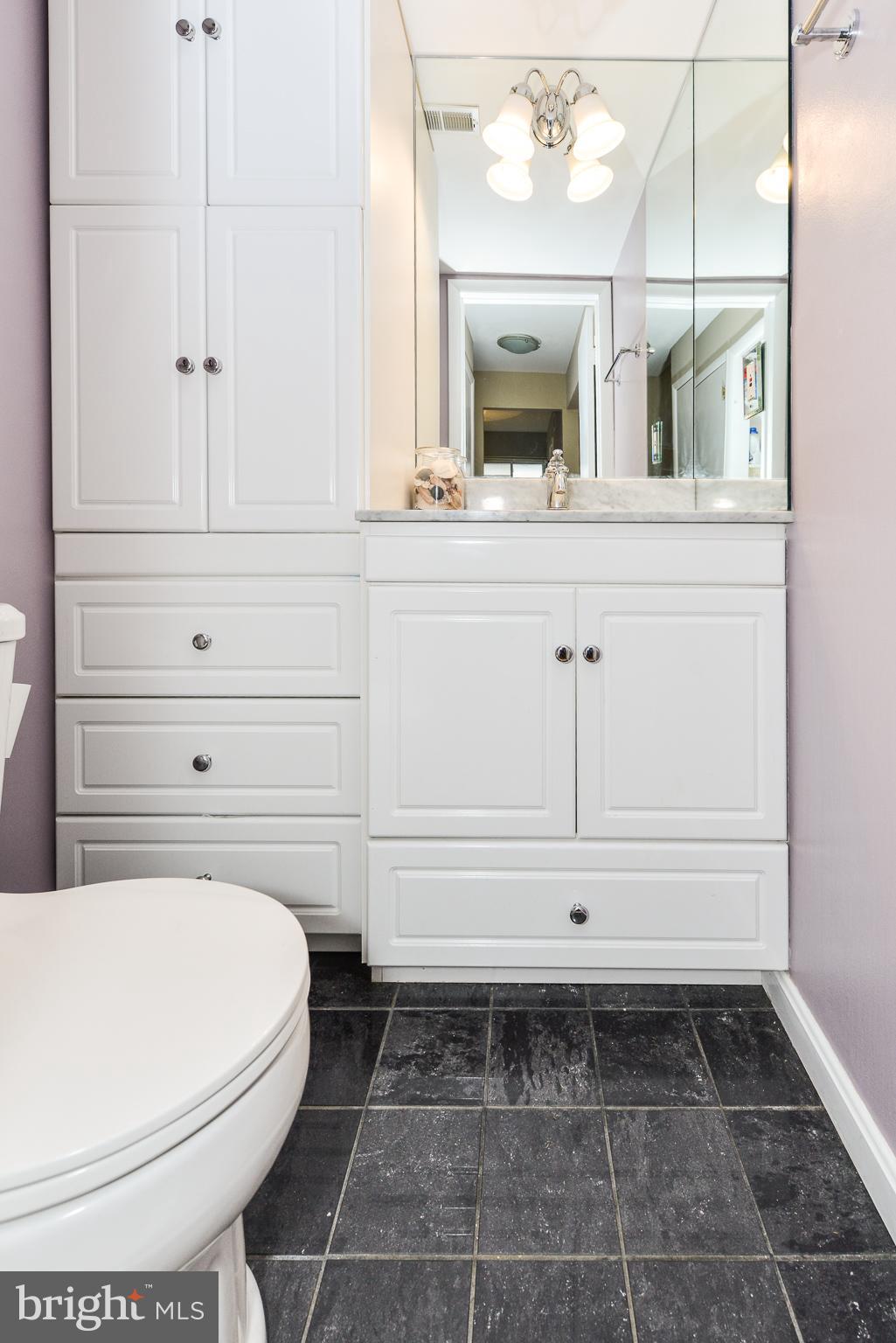 1741 Wainwright Drive Reston, VA 20190 - Photo 15 of 29 Updated bathroom on main level
