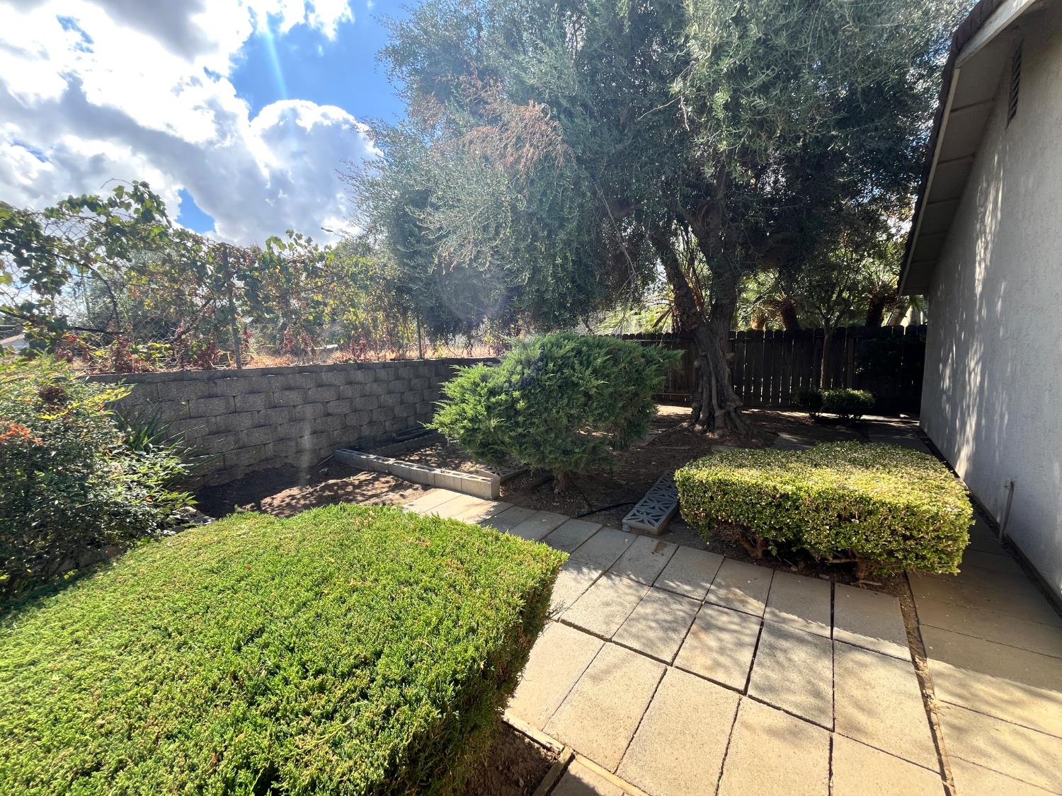 312 Roxanne Drive Patterson, CA 95363 - Photo 3 of 28 a view of an outdoor space with a garden