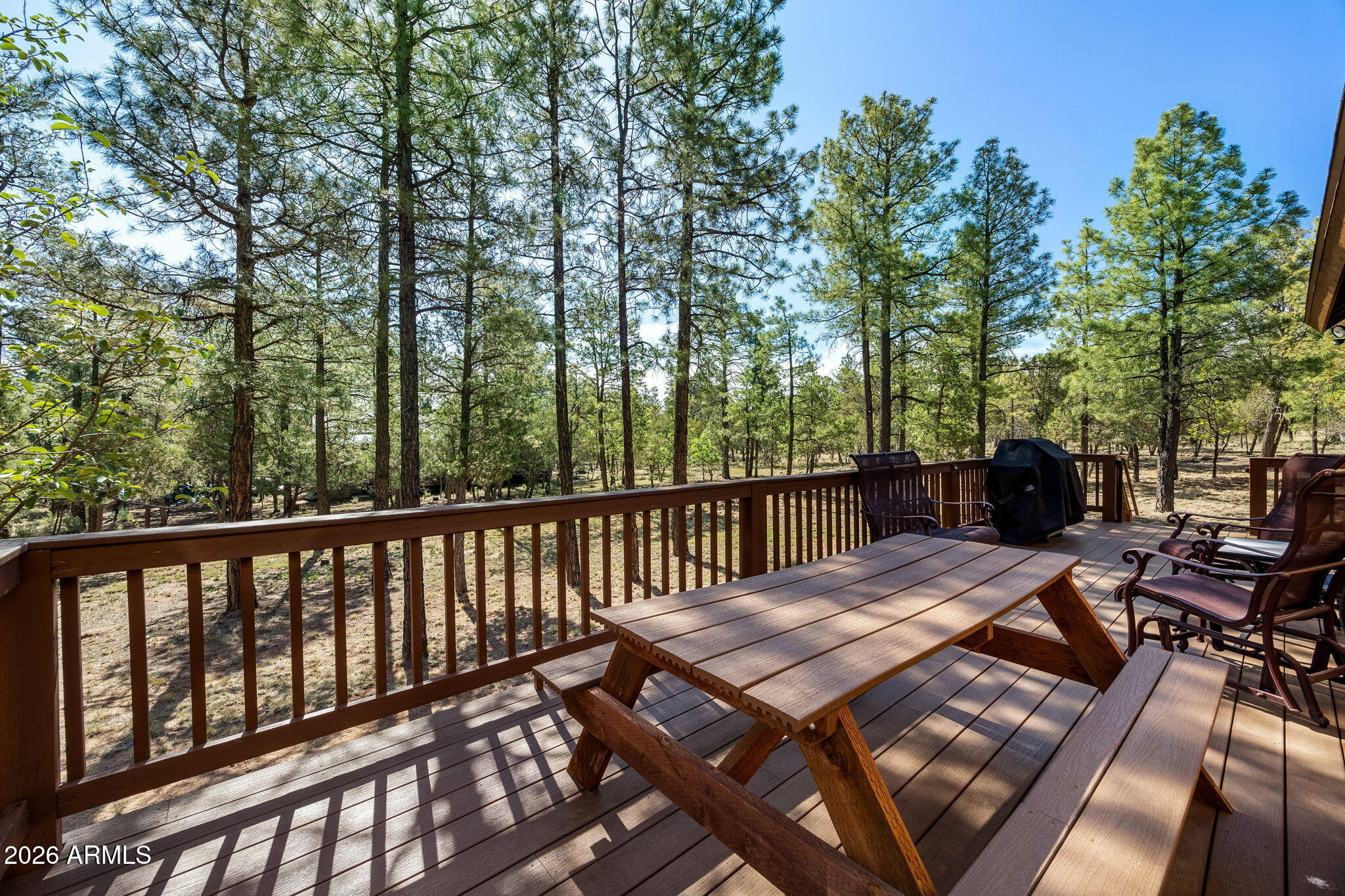 2797 Deer Hill Overgaard, AZ 85933 - Photo 23 of 40 2797ParadisePines-Heber-AZ-23