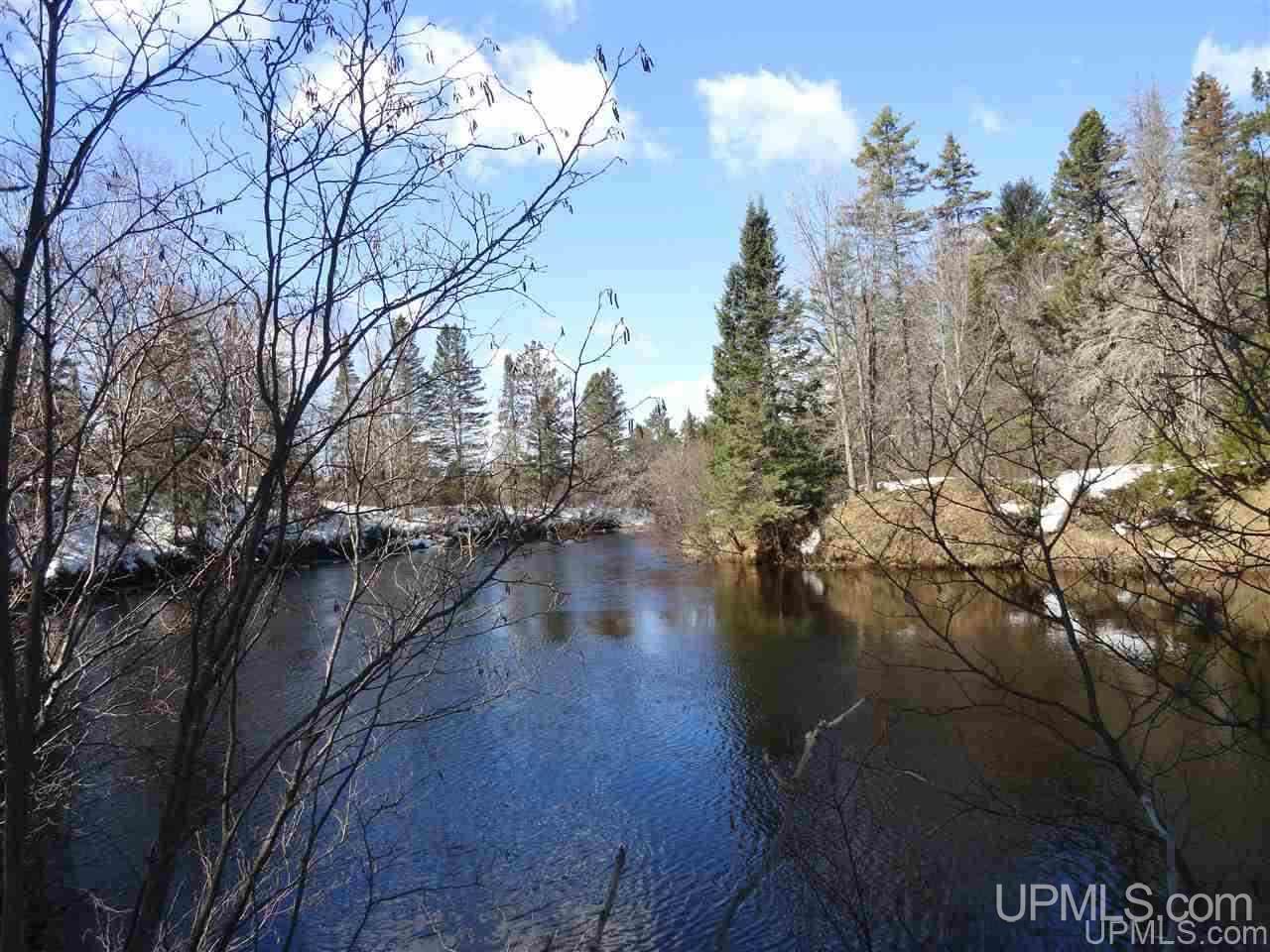 47-acres Chain Of Lakes Road Republic, MI 49879 - Photo 12 of 29