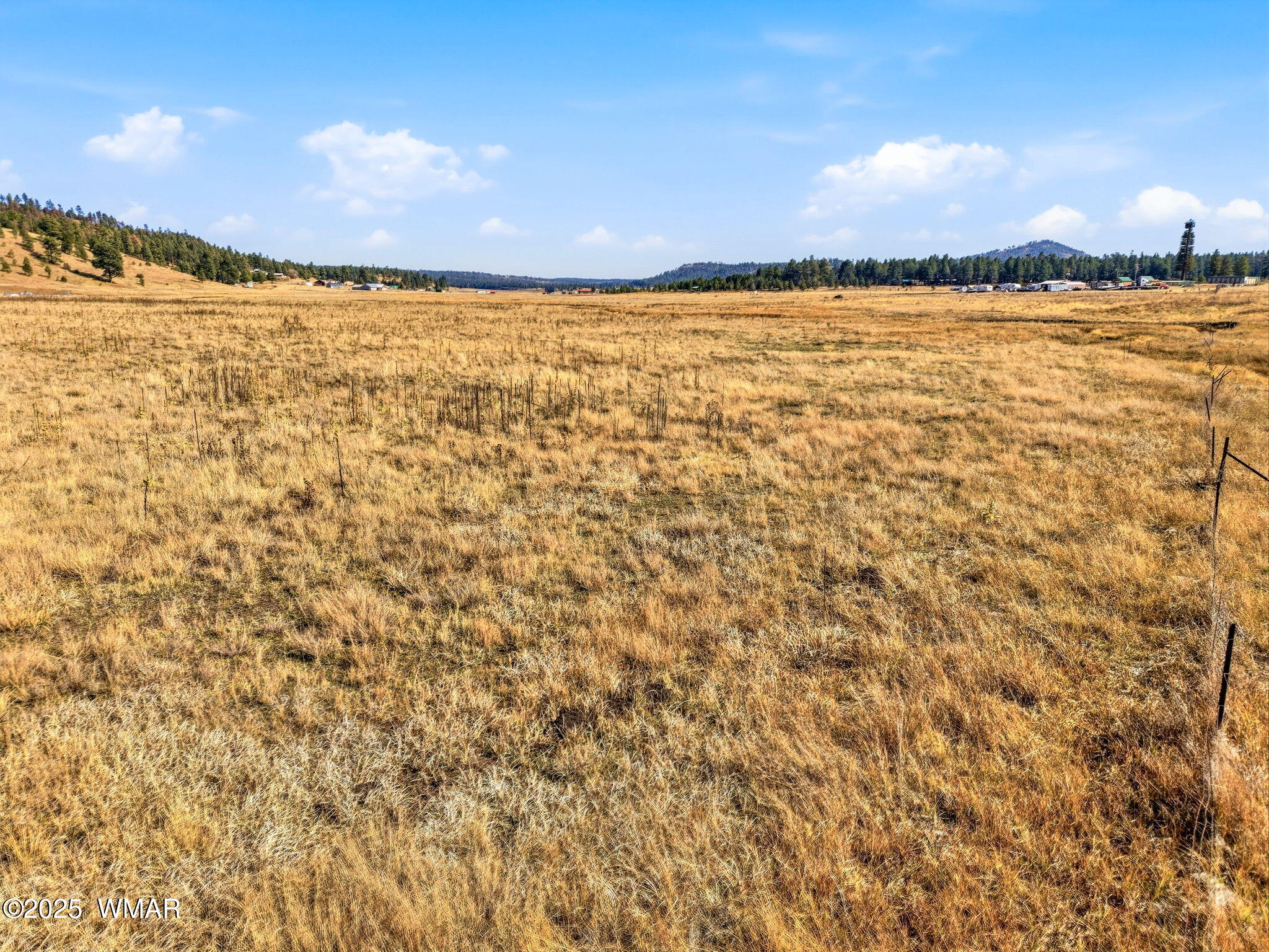 Lot 35 The Ranch Alpine, AZ 85920 - Photo 17 of 21 Parcel-101-73-035-Alpine-AZ-17