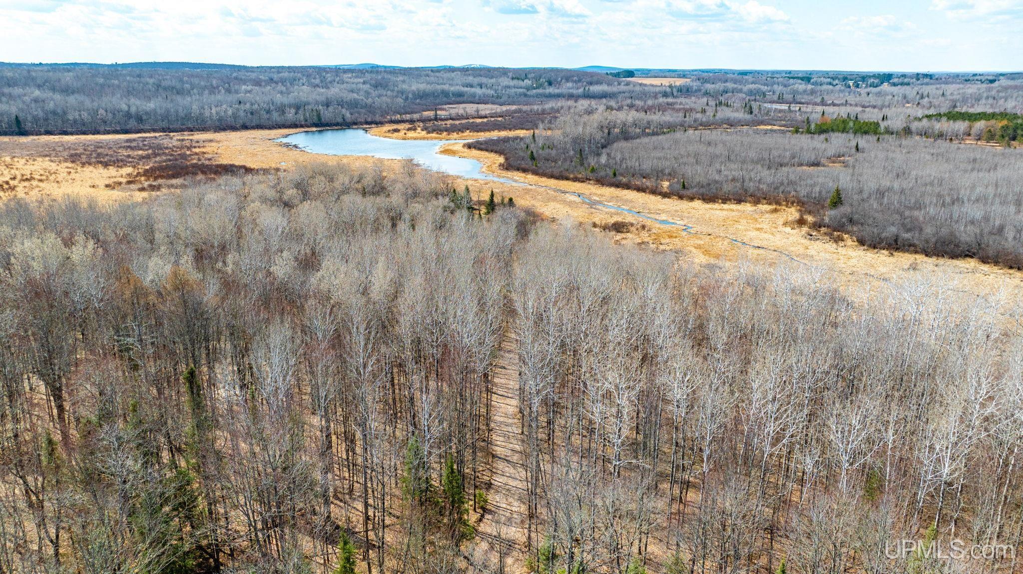 Tbd Passamani Road Iron River, MI 49935 - Photo 16 of 41