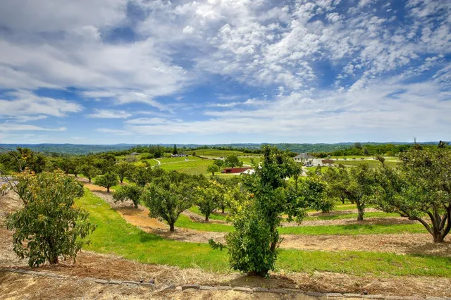 a view of a big yard with beach and large trees