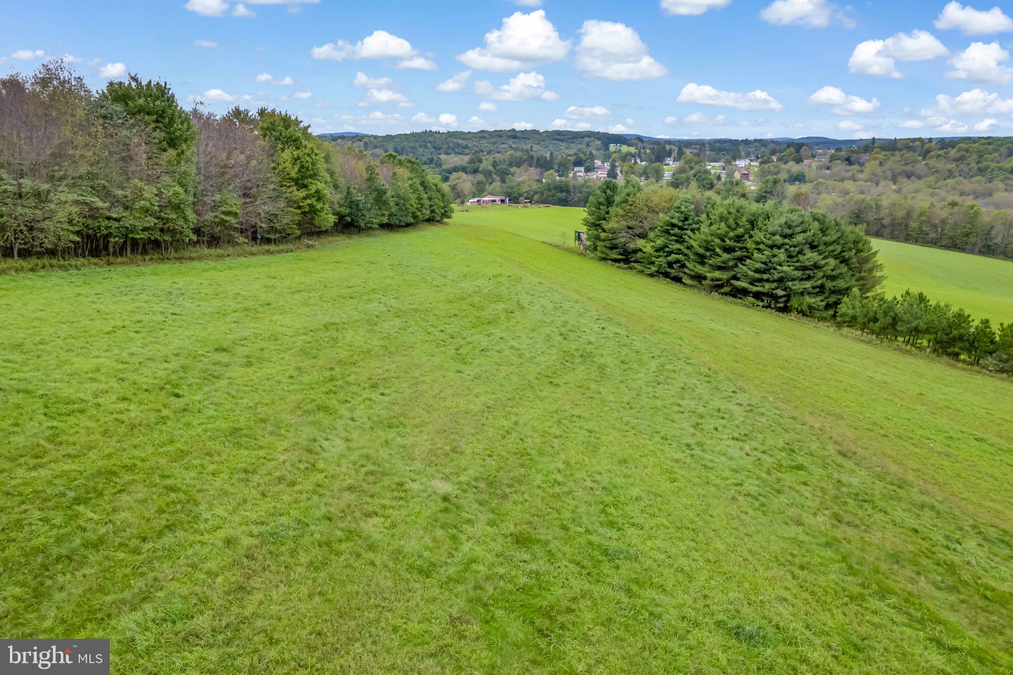 2504 Boiling Spring Road Deer Park, MD 21550 - Photo 14 of 67 Gallery Image 14