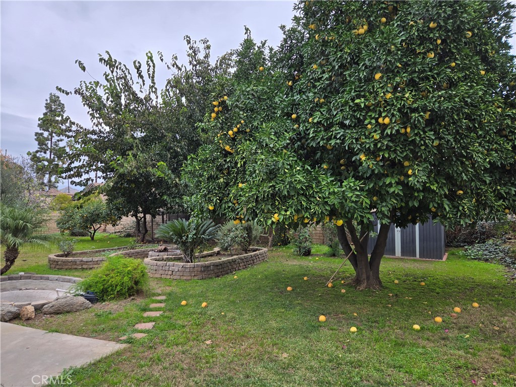 955 Le Conte Drive Riverside, CA 92507 - Photo 14 of 17