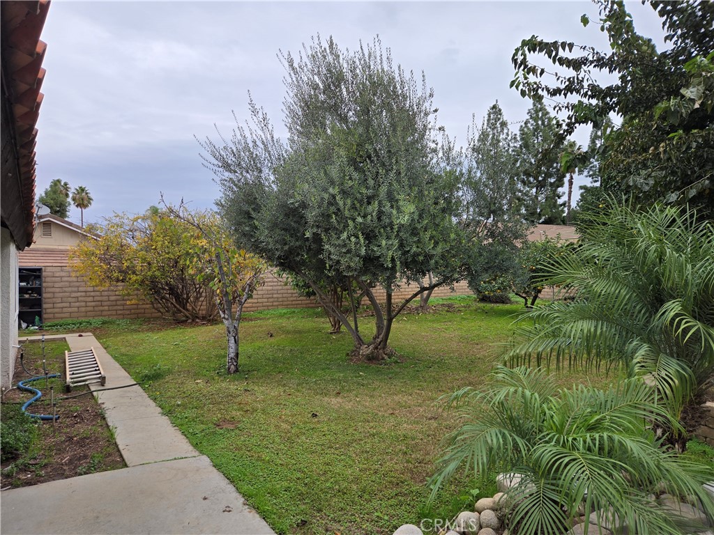 955 Le Conte Drive Riverside, CA 92507 - Photo 16 of 17