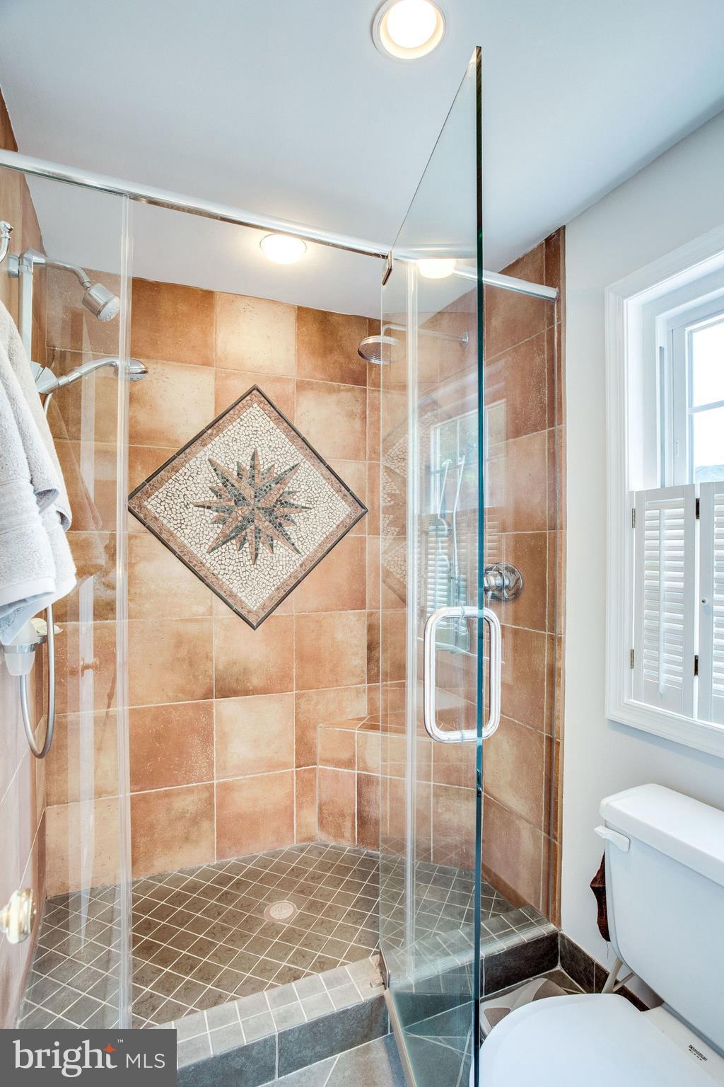 9530 Burning Branch Road Burke, VA 22015 - Photo 25 of 43 Custom Shower