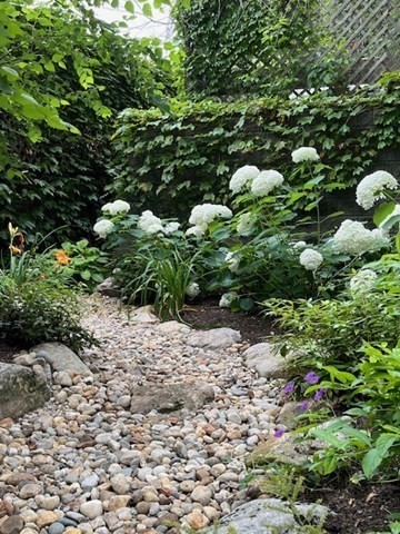 195 Winthrop Road, Unit 1 Brookline, MA 02445 - Photo 26 of 29