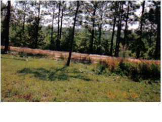 532 Vines Road DeFuniak Springs, FL 32435 - Photo 1 of 2 Gallery Image 1