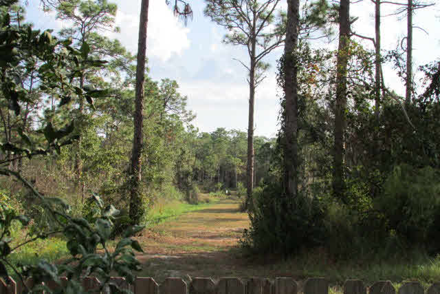 24602 Tarpon Lane Orange Beach, AL 36561 - Photo 39 of 40 Trail from Backyard