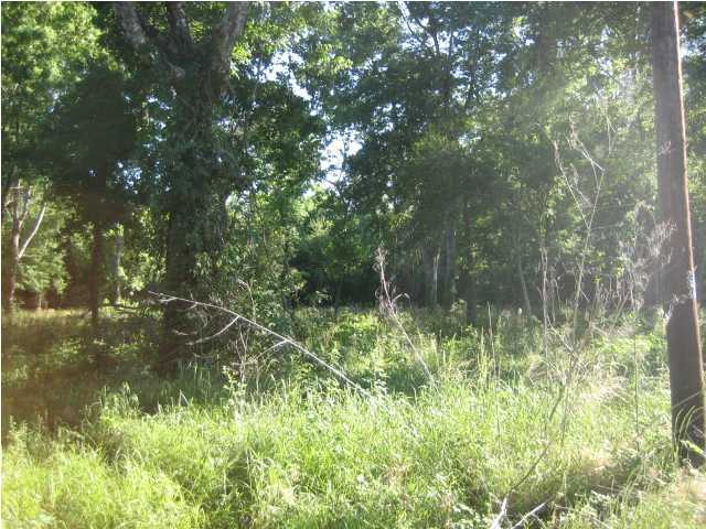 Miller Road Opelousas, LA 70570 - Photo 3 of 3 Additional Photo