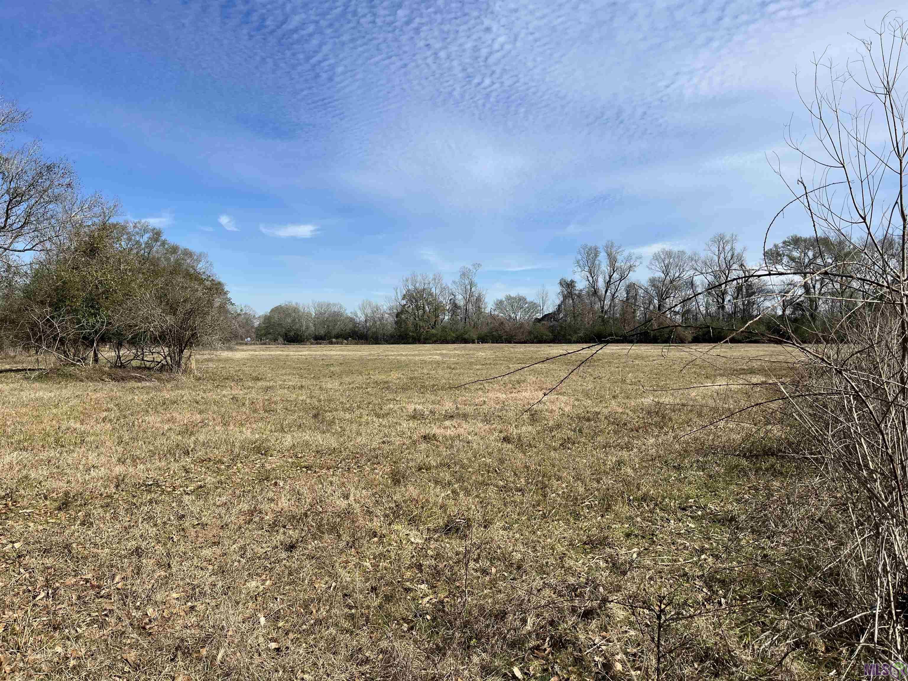 847 Dougherty Lane Jackson, LA 70748 - Photo 2 of 4