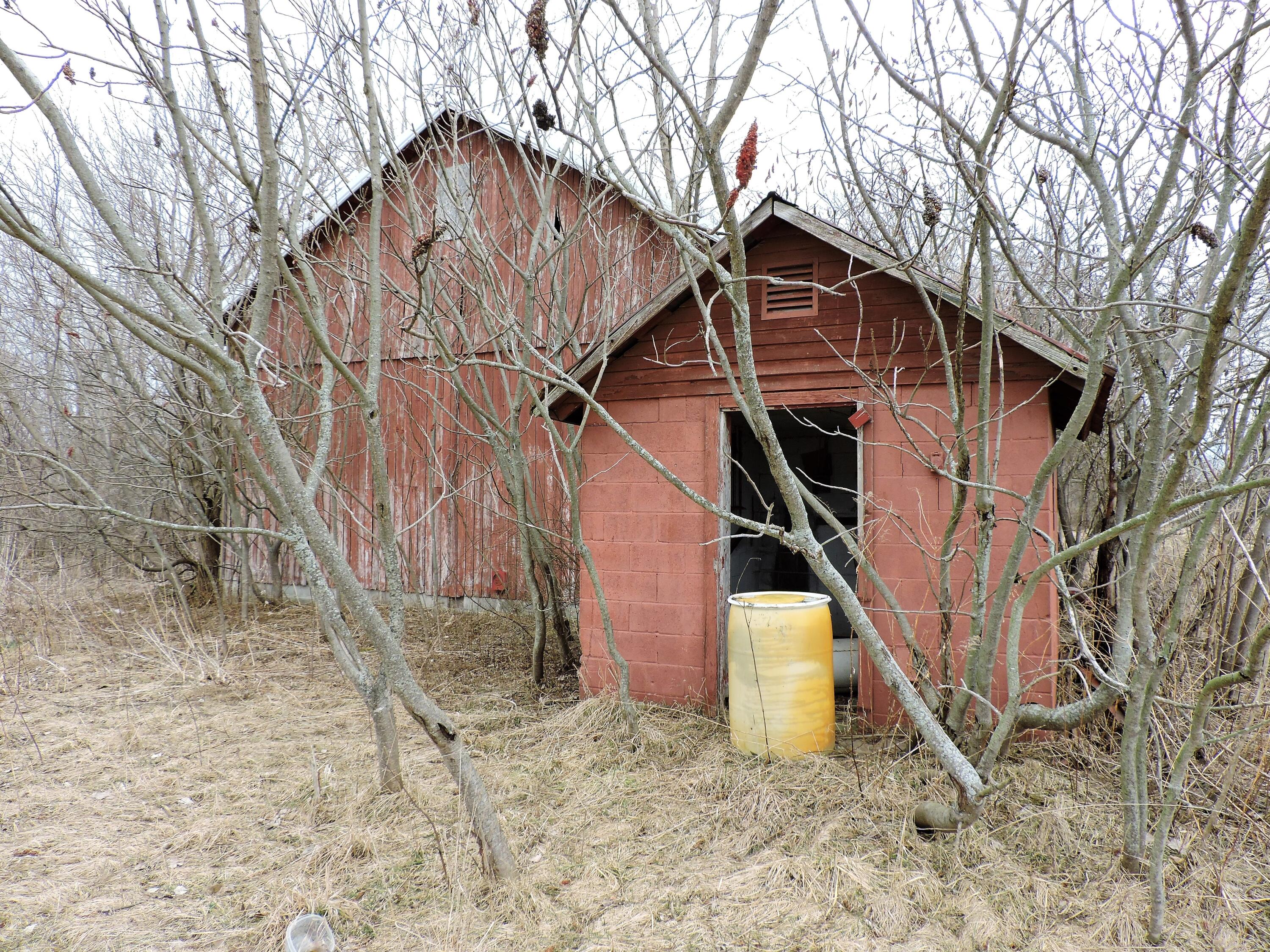 4843 South Pipestone Road Sodus, MI 49126 - Photo 3 of 17 DSCN9692