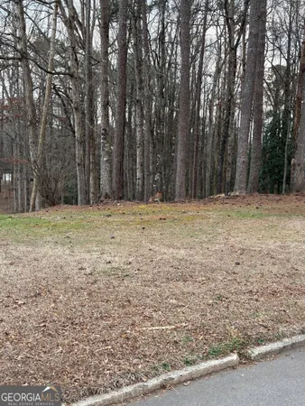 a big yard with large trees