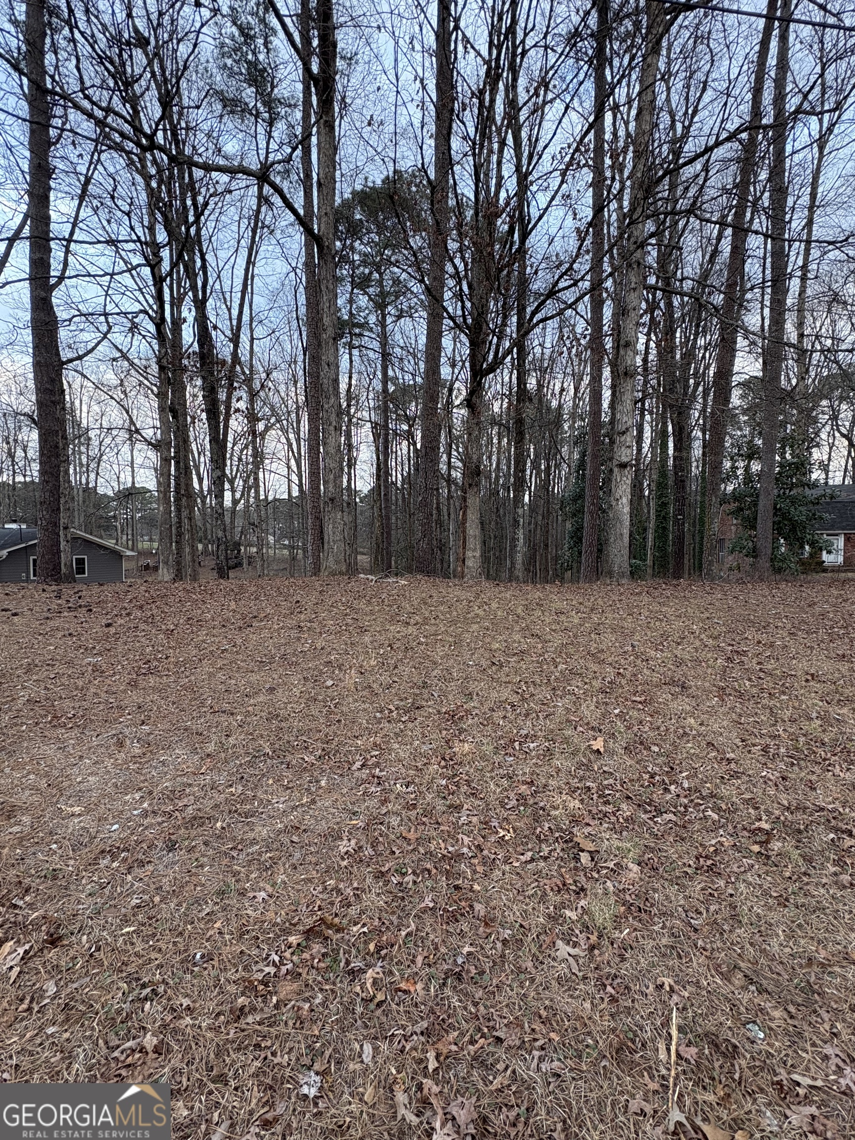 0 Azalea Drive Fairburn, GA 30213 - Photo 2 of 5 a view of a field with trees in the background