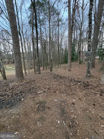 a view of a yard with trees