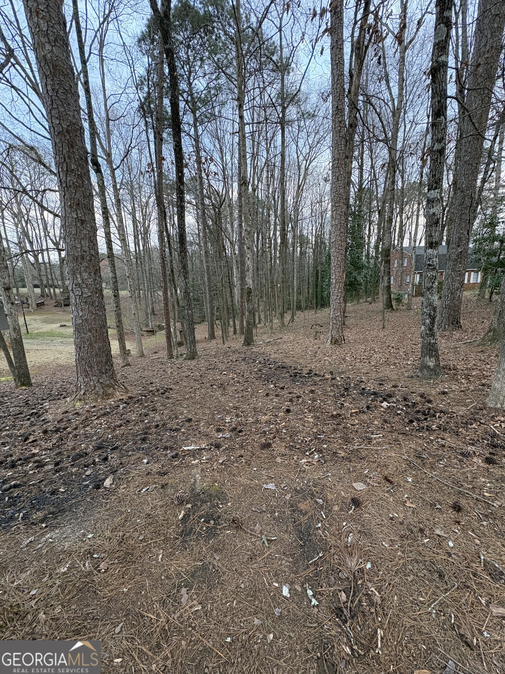0 Azalea Drive Fairburn, GA 30213 - Photo 3 of 5 a view of a yard with trees