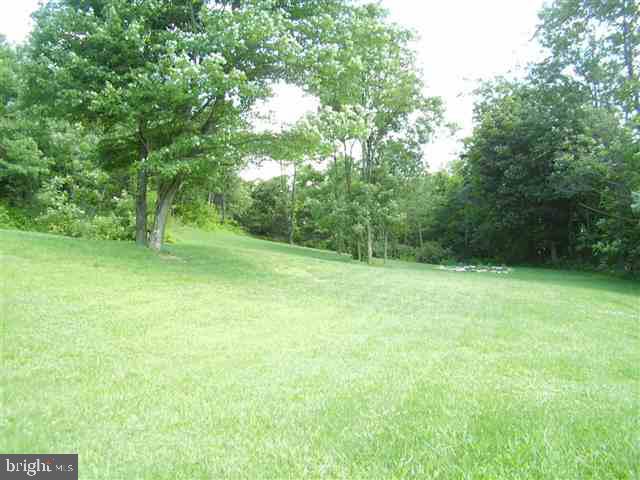7761 Spring Road New Bloomfield, PA 17068 - Photo 8 of 10 Gallery Image 8