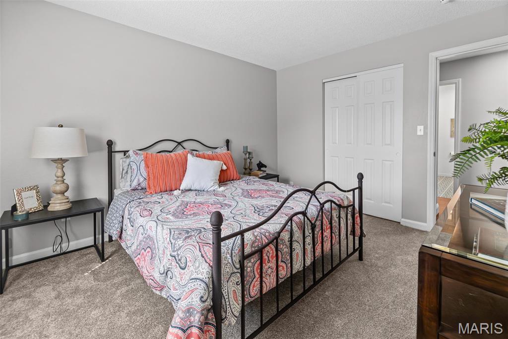 216 Country Club View Edwardsville, IL 62025 - Photo 22 of 50