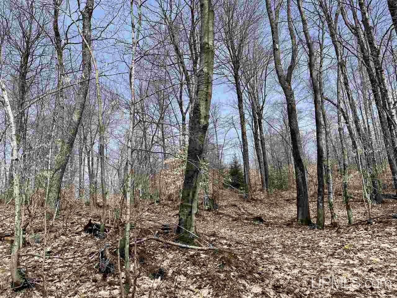 0 Old Seney Road Seney, MI 49883 - Photo 28 of 31