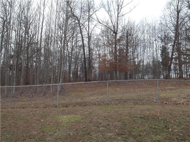 317 Keytown Road Portland, TN 37148 - Photo 13 of 19