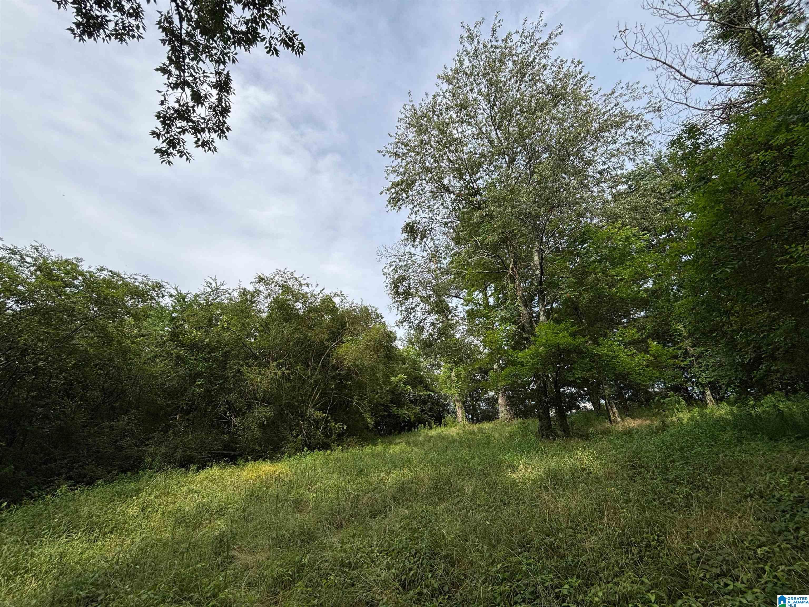 0 Bright Star Road, Unit 123 / ACRES Horton, AL 35980 - Photo 11 of 21