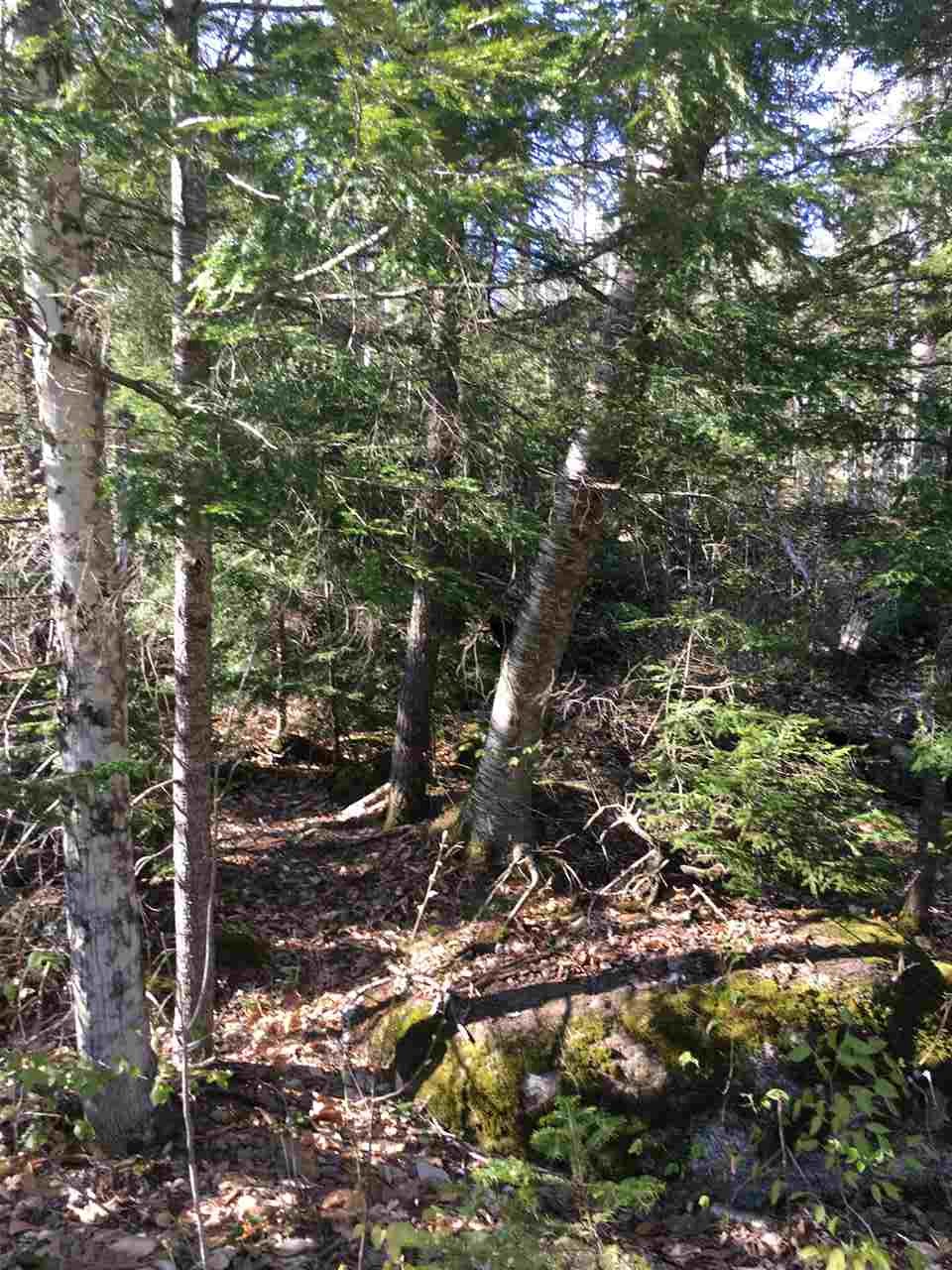 62-3 Bear River Road, Unit 3 Newry, ME 04261 - Photo 10 of 14 Gallery Image 10