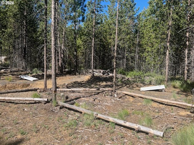 17174 Azusa Road Bend, OR 97707 - Photo 6 of 8 a view of a park with large trees