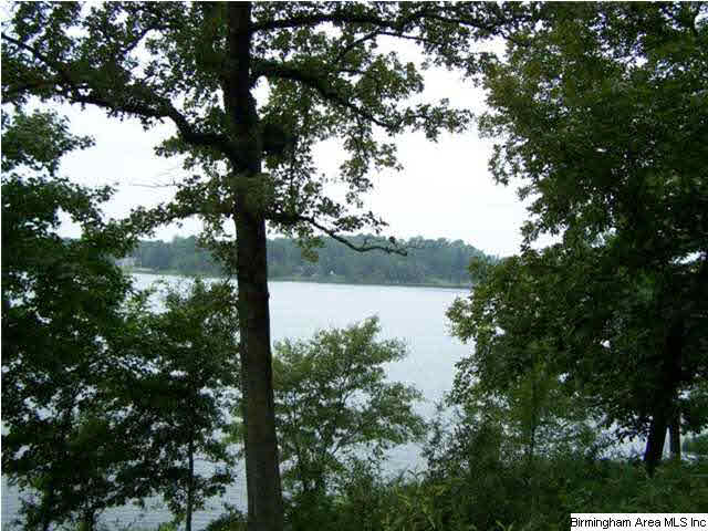 Boat Ramp Trail, Unit 109 Sylacauga, AL 35150 - Photo 1 of 6