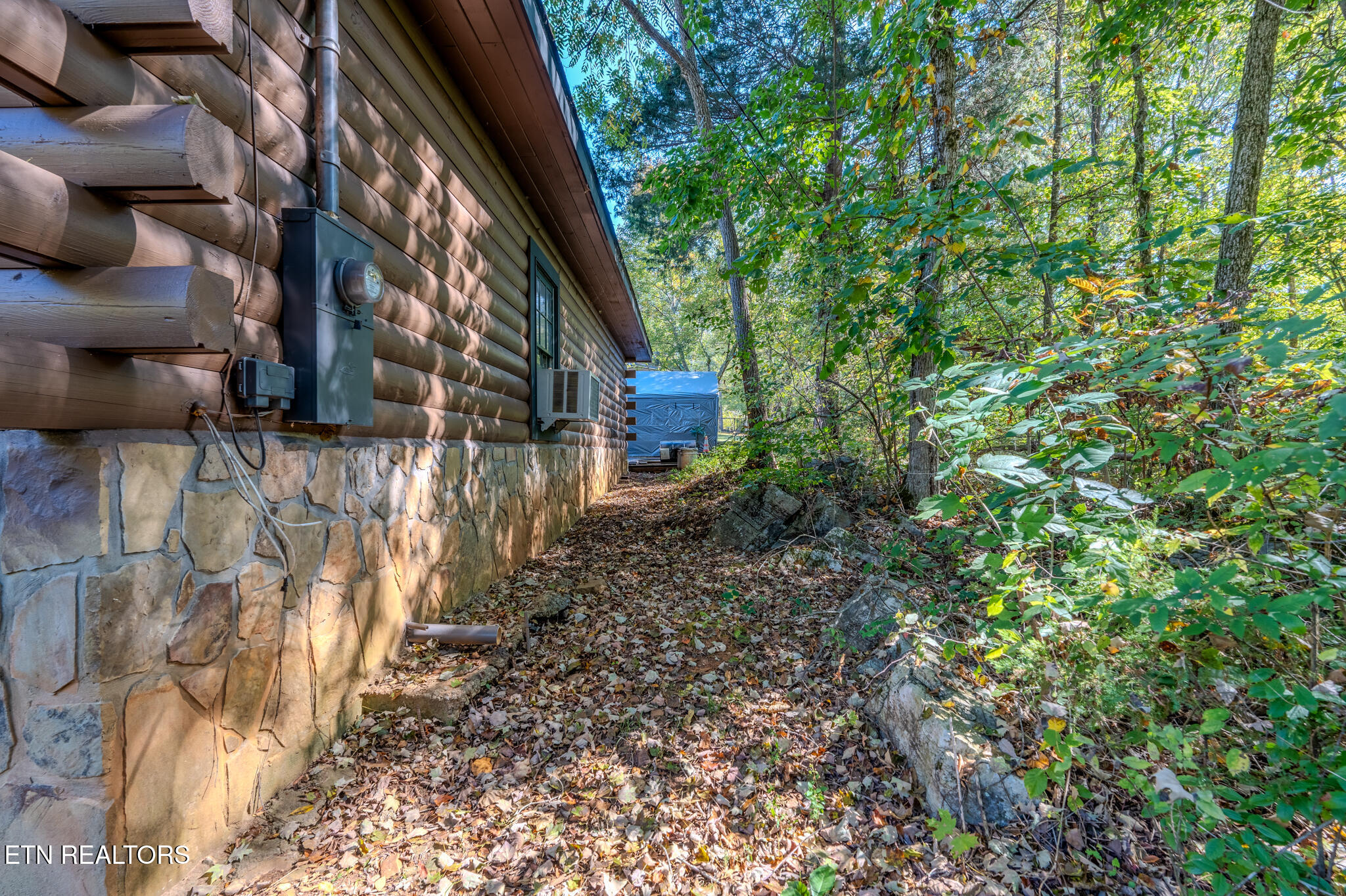 2216 French Broad River Road Seymour, TN 37865 - Photo 31 of 53 Back of Home